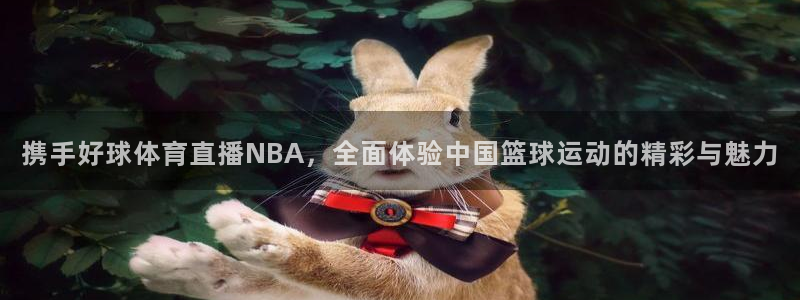 携手好球体育直播NBA，全面体验中国篮球运动的精彩与魅力